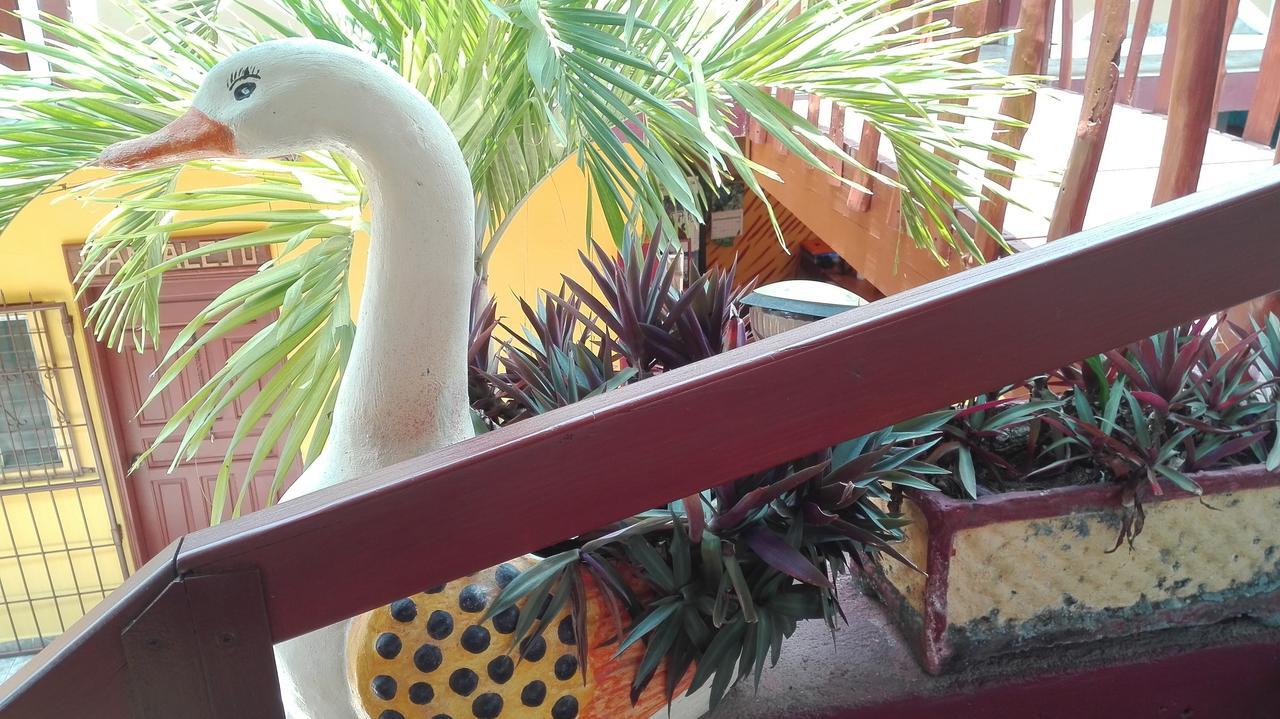 Hotel Bahia Tela Εξωτερικό φωτογραφία